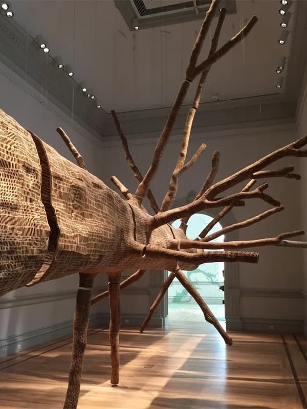 Wooden tree